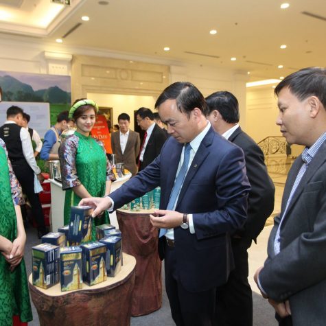 VINA TEA (16)