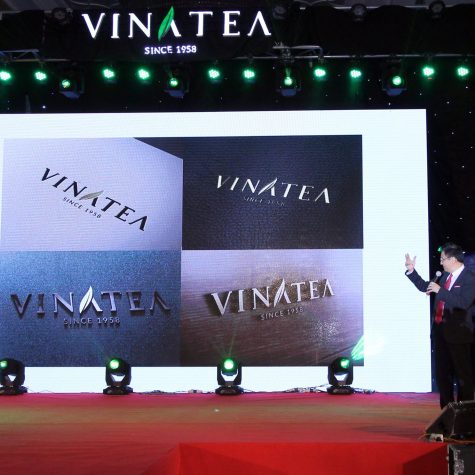 VINA TEA (4)
